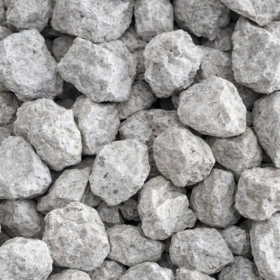 Pruimen Chinees Salu 340753