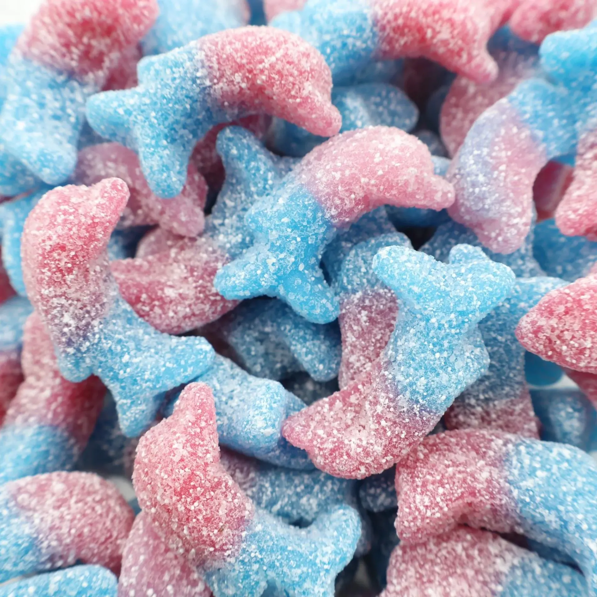 Bubblegum Dolphins 1831