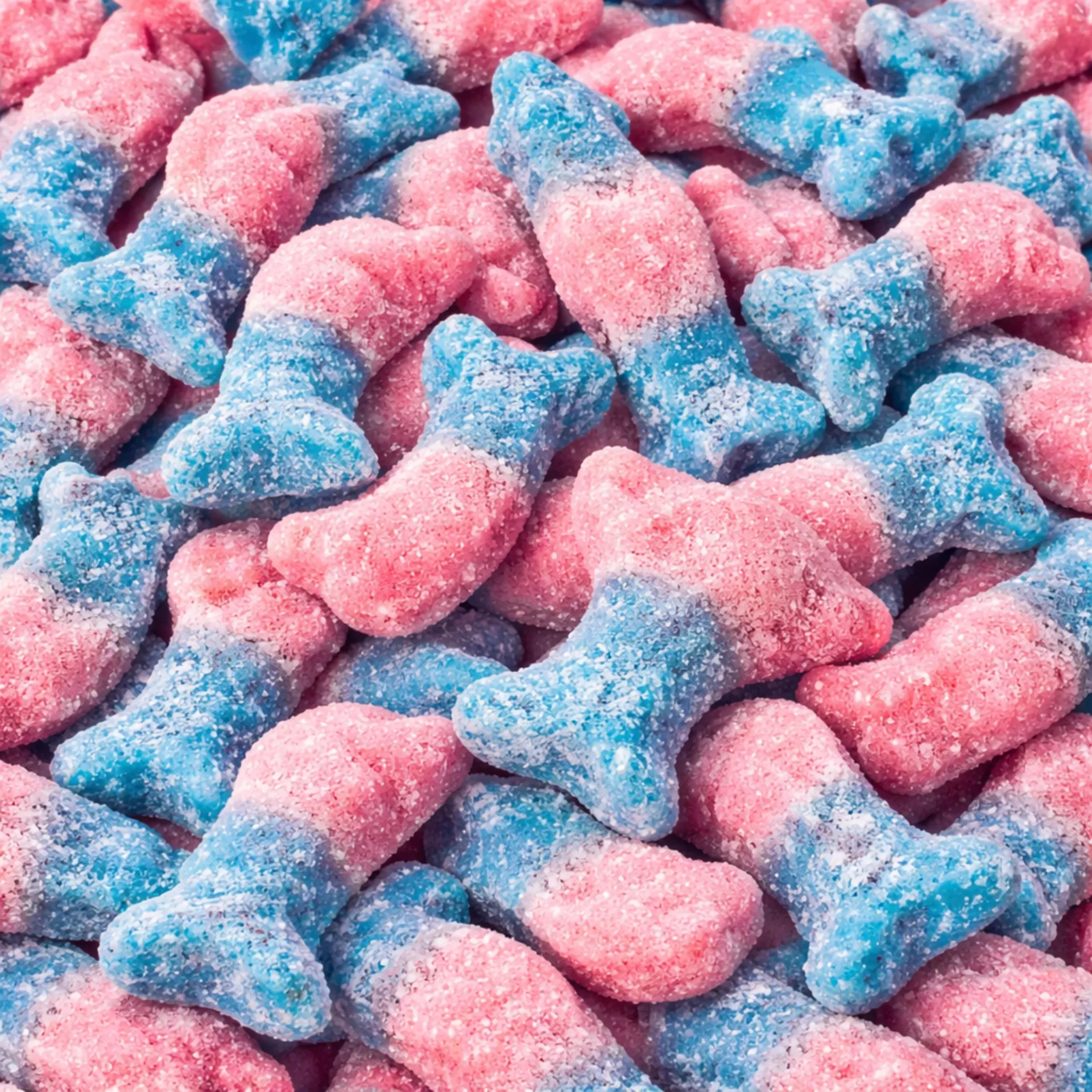 [341831] Bubblegum Dolphins