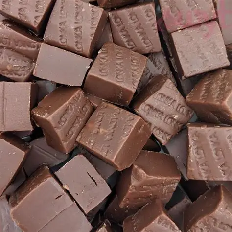 Fudge Choco 21501