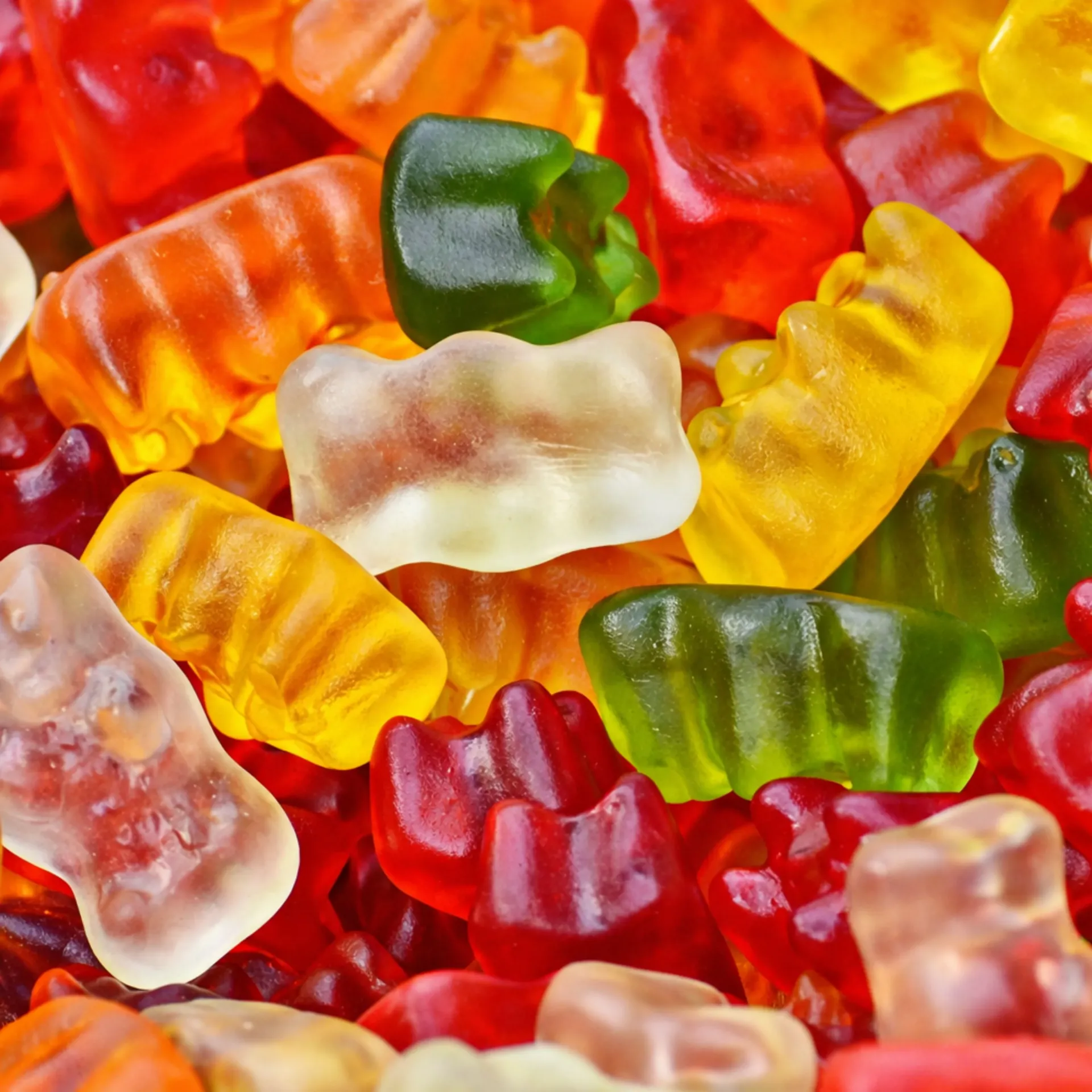 [341019] Goud Beertjes