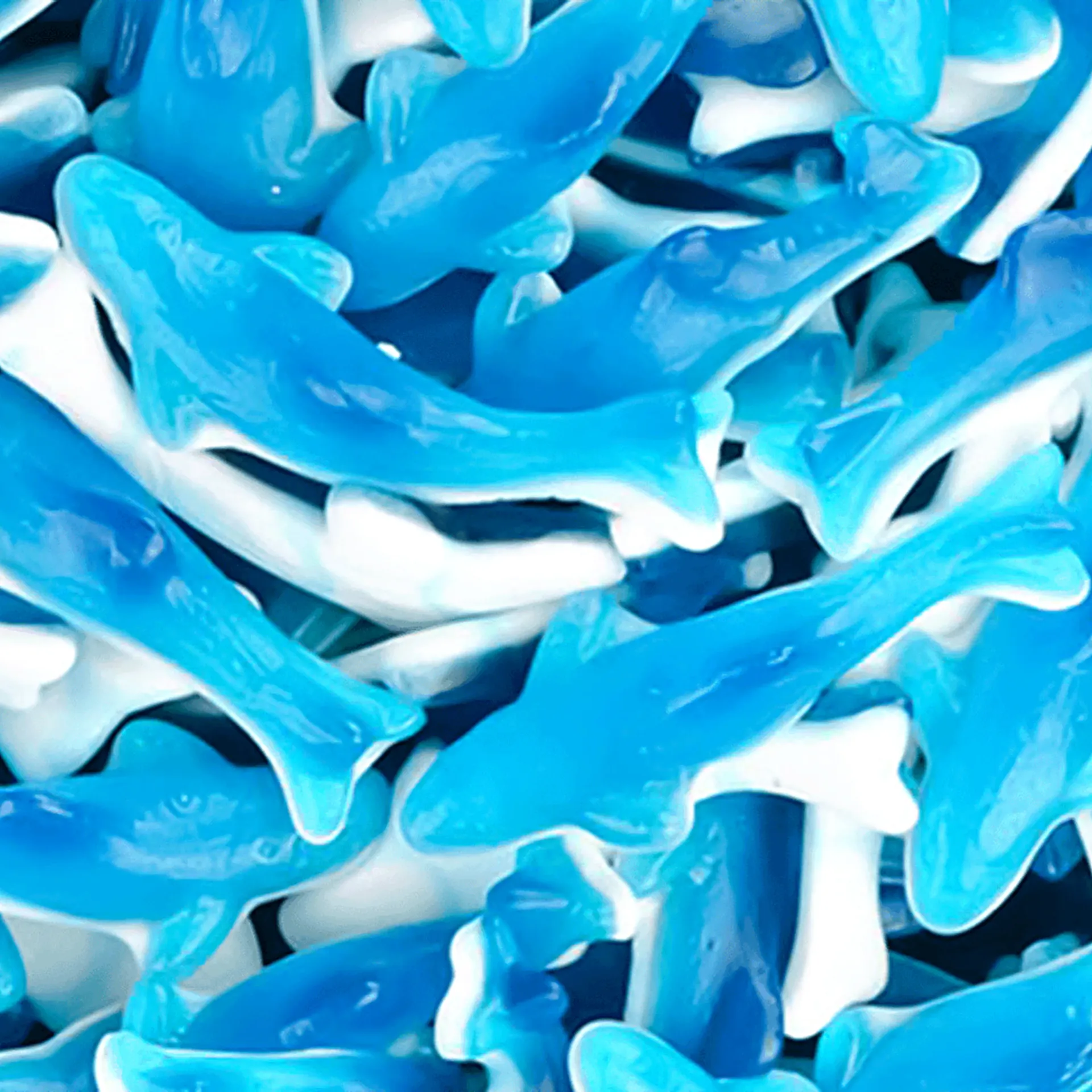 Blauwe Haaien